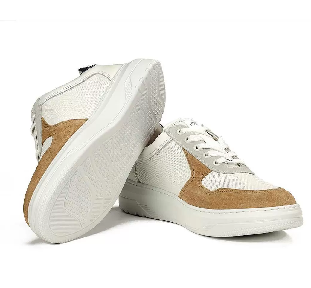 Fluchos Boston F1970 Deportivo Taupe^Hombre Cordones