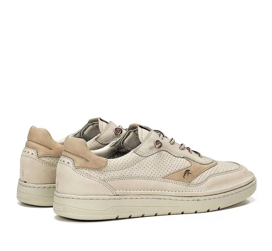 Fluchos Leo F1943 Deportivo Taupe^Hombre Cordones